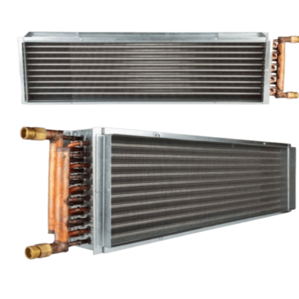 Domingo 1724314961562 e1769854684975 600x600