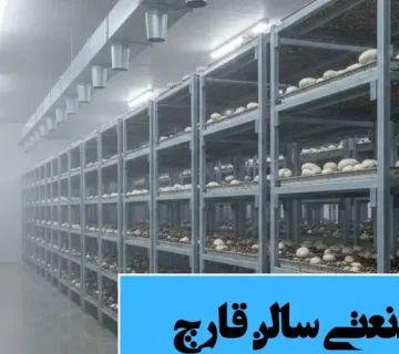 هواساز صنعتی سالن قارچ تهویه رویال 360x320
