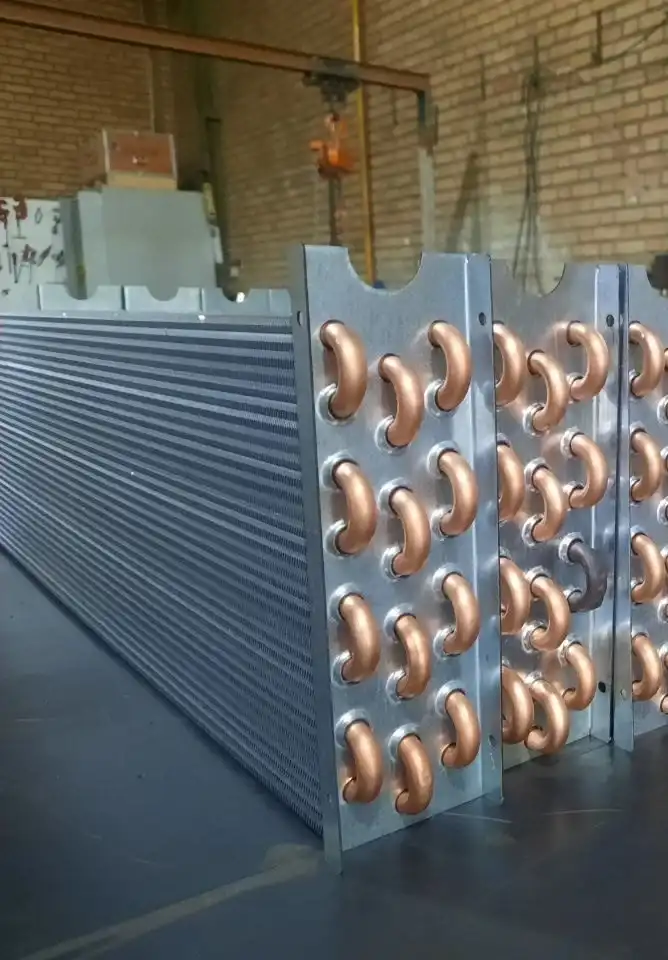 5888577953443463942 e1769928673802 1